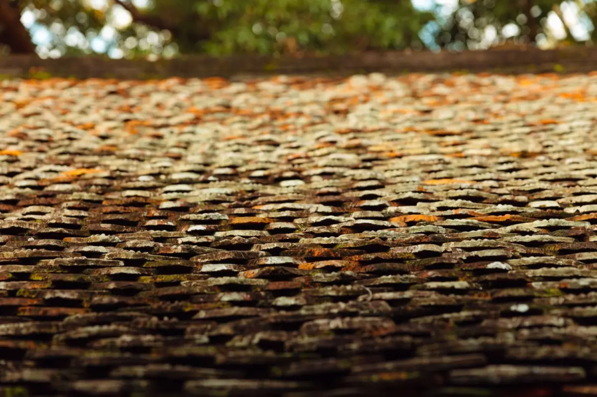 Roof Coatings and Sealing in Marshall, TX
